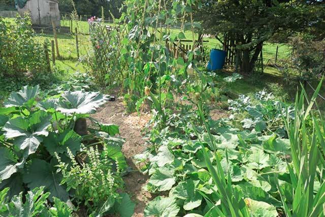 B&B Ferme Du Petit Breuil Verviers Exteriör bild
