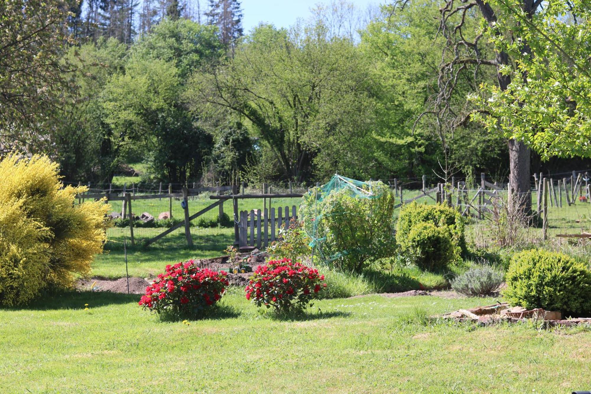 B&B Ferme Du Petit Breuil Verviers Exteriör bild